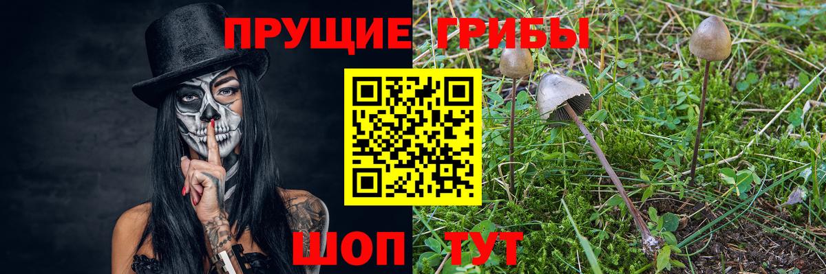 Псилоцибиновые грибы Magic Shrooms Звенигород