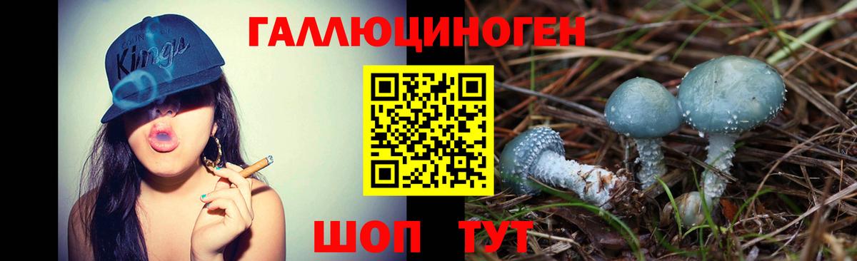 как найти наркотики  Вход с VPN  Звенигород  Псилоцибиновые грибы Cubensis  Псилоцибиновые грибы прущие грибы 